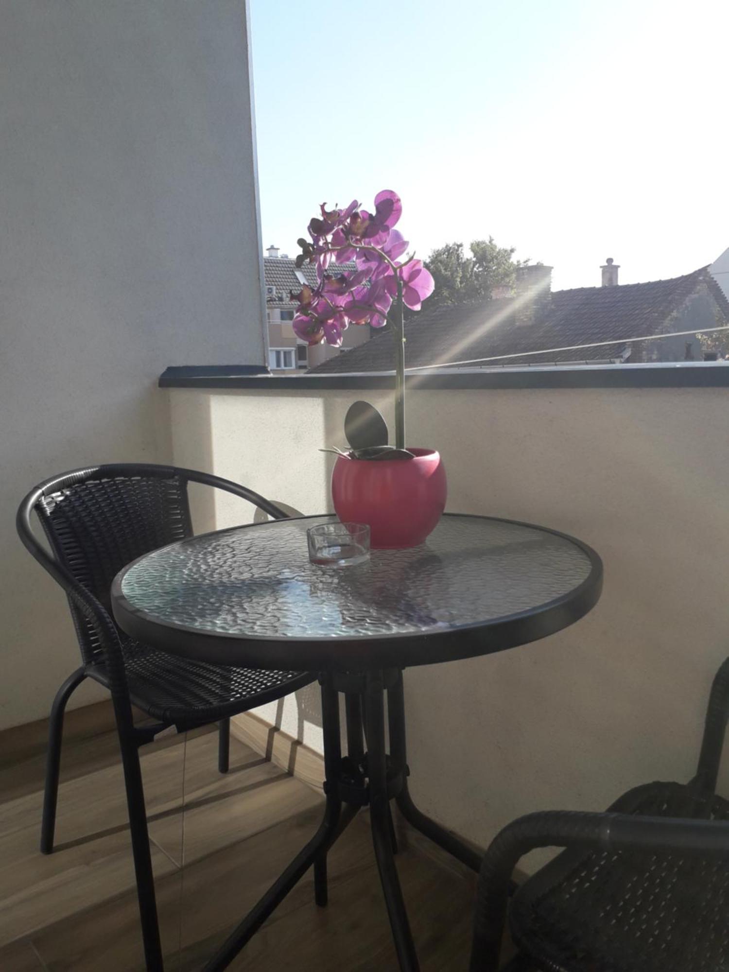 Hajnal apartman Apartment Szeged Ruang foto